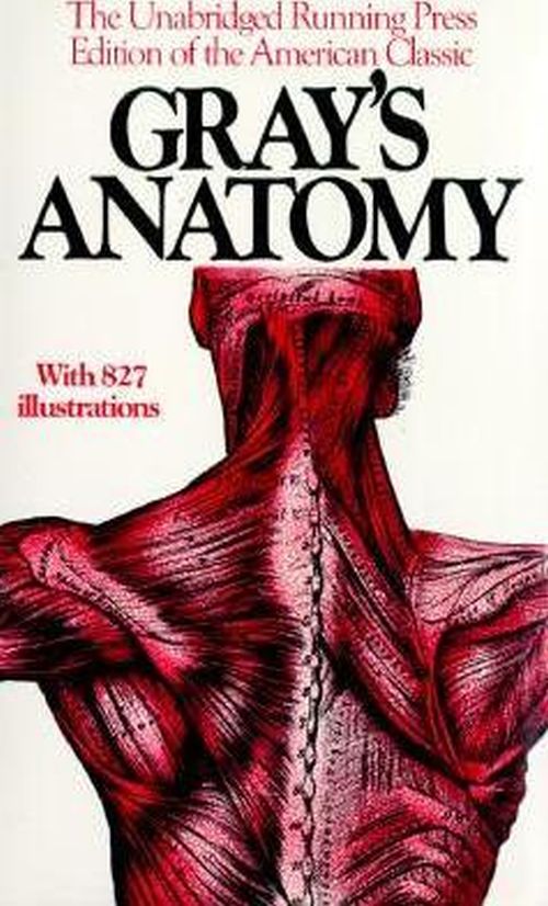Gray's Anatomy (PB)