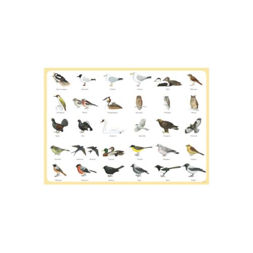 Dækkeserviet plast Fugle