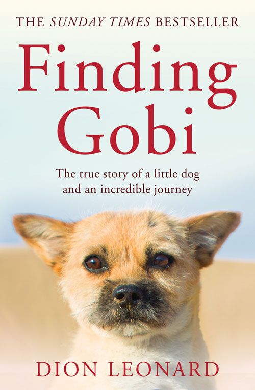 Finding Gobi: The true story of a little dog and an incredible journey (PB) - B-format