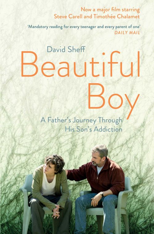 Beautiful Boy: A Father's Journey Through His Son's Addiction (PB) - Film tie-in - B-format