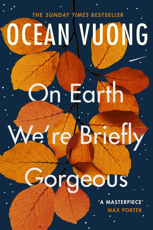 On Earth We're Briefly Gorgeous (PB) - B-format