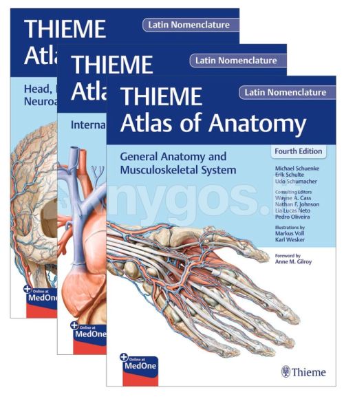 THIEME Atlas of Anatomy, Latin Nomenclature, Three Volume Set, 4th ed.