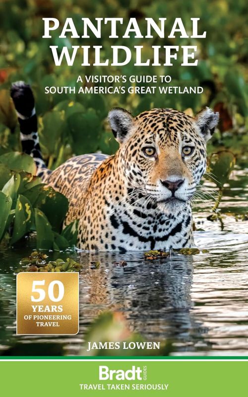 Pantanal Wildlife : A Visitors Guide to Brazil's Great Wetland, Bradt Travel Guide (2nd ed. Mar. 25)