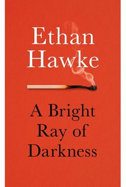 Bright Ray of Darkness, A (PB) - C-format