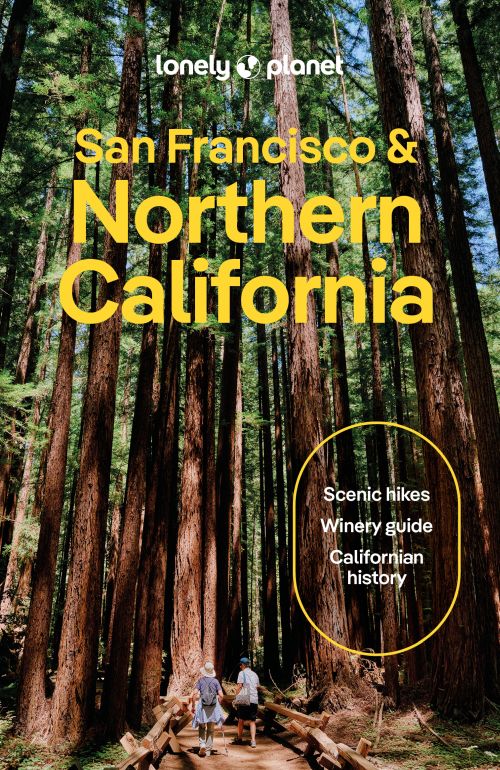 San Francisco and Northern California, Lonely Planet (4th ed. Jan. 26)