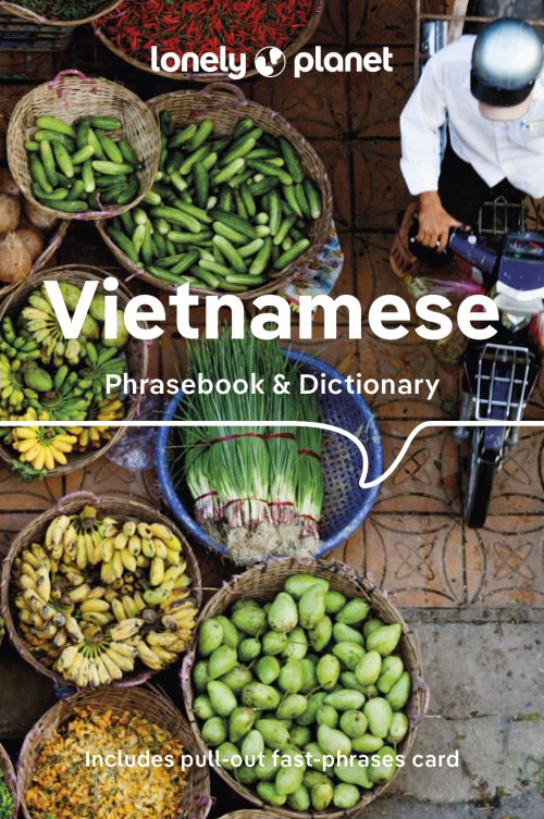 Vietnamese Phrasebook & Dictionary, Lonely Planet (9th ed. July 23)