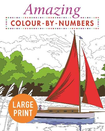 Amazing Colour by Numbers Large Print