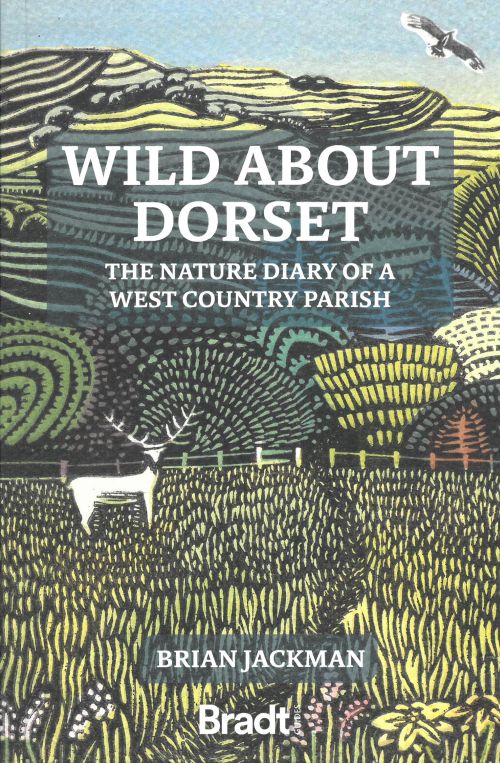 Wild About Dorset: The nature diary of a West Country parish