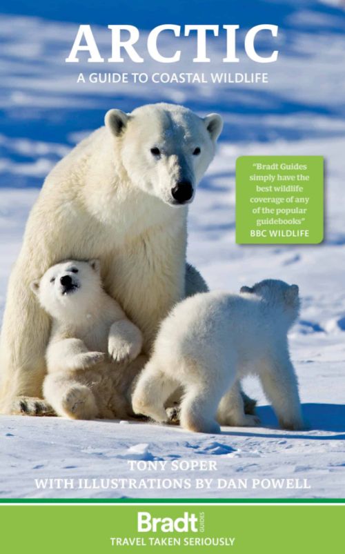 Arctic : A Guide to Coastal Wildlife, Bradt Travel Guide (5th ed. Jan 26)