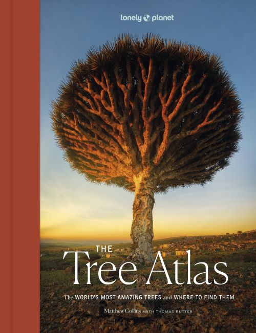 Tree Atlas, The (1 stk. ed. Oct. 24)