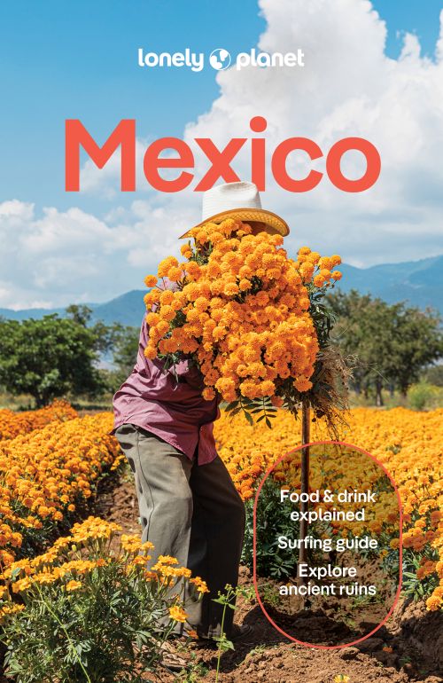 Mexico, Lonely Planet (19th ed. Oct. 25)