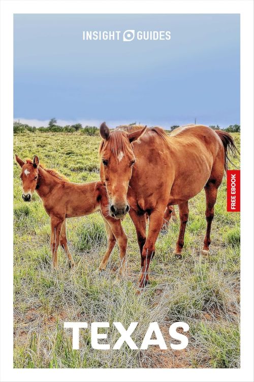 Texas, Insight Guide (8th ed. Oct. 2025)