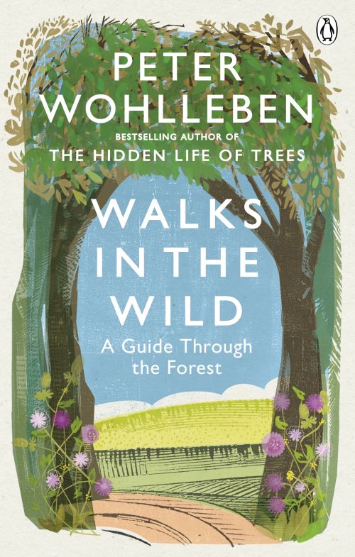 Walks in the Wild: A guide through the forest (PB)