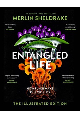 Entangled Life: How Fungi Make Our Worlds, Change Our Minds and Shape Our Futures - The Illustrated Edition (HB)
