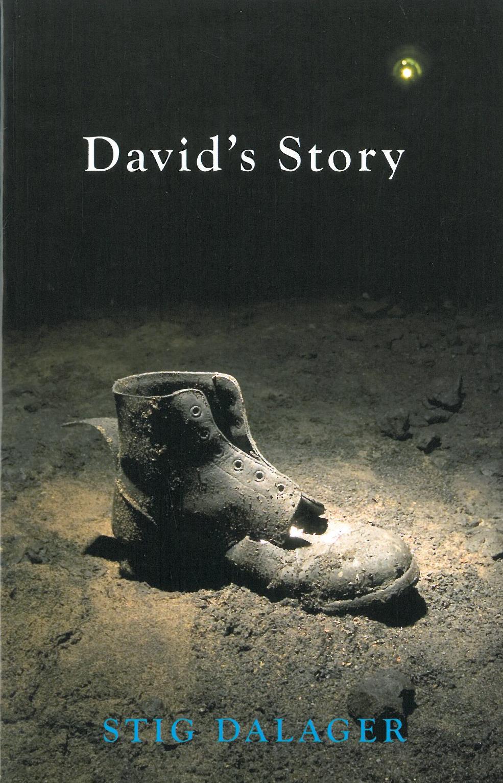 David´s Story (PB)