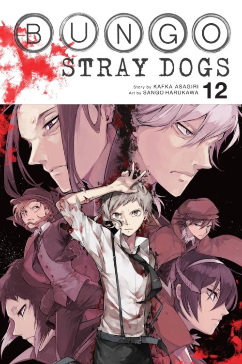 Bungo Stray Dogs, Vol. 12 (PB)