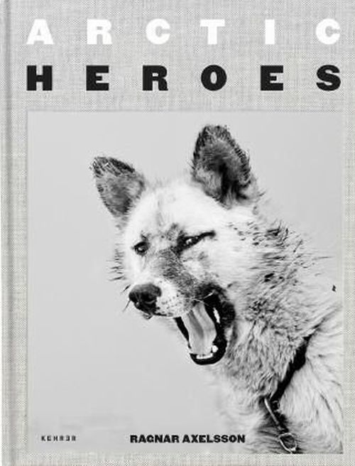 Arctic Heroes: A Tribute to the Sled Dogs of Greenland