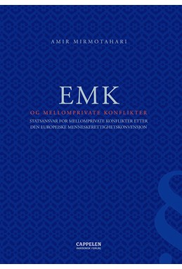 EMK og mellomprivate konflikter : statsansvar for mellomprivate konflikter etter Den europeiske menneskerettighetskonven