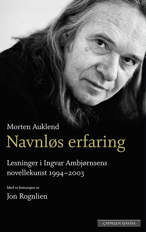 Navnløs erfaring : lesninger i Ingvar Ambjørnsens novellekunst 1994 - 2003