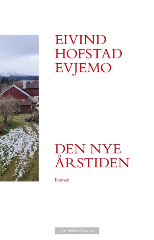 Den nye årstiden : roman