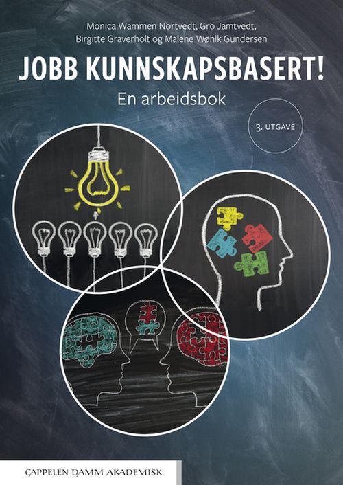 Jobb kunnskapsbasert! : en arbeidsbok  (3. utg.)