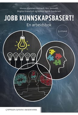 Jobb kunnskapsbasert! : en arbeidsbok  (3. utg.)
