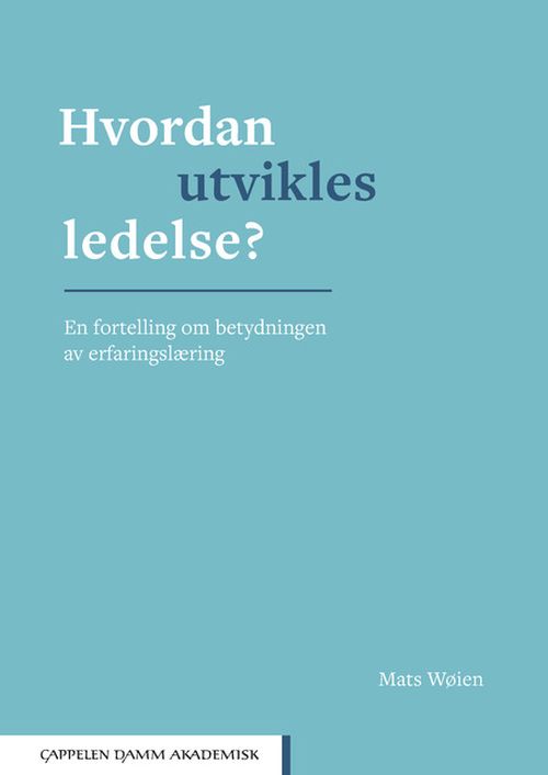 Hvordan utvikles ledelse : en fortelling om betydningen av erfaringslæring