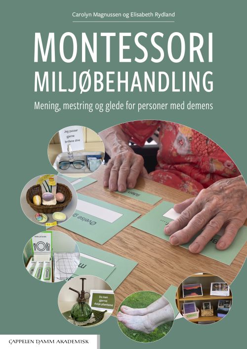 Montessori miljøbehandling : mening, mestring og glede for personer med demens