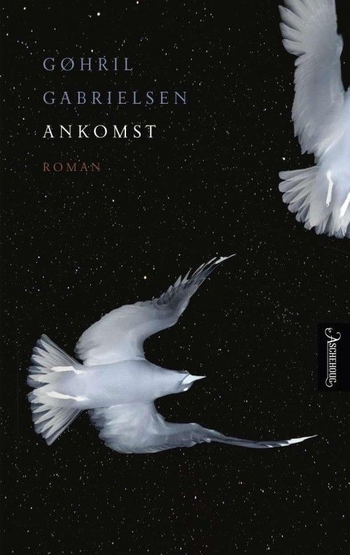 Ankomst : roman