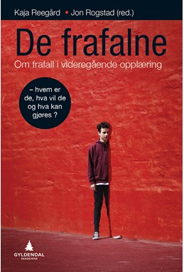 De frafalne : om frafall i videre utdanning