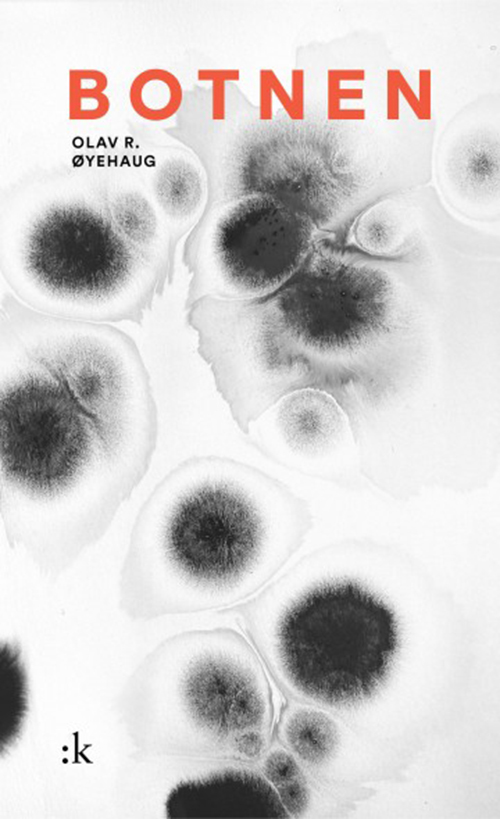 Botnen : forteljingar