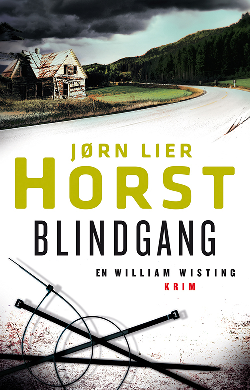 Blindgang : en William Wisting krim