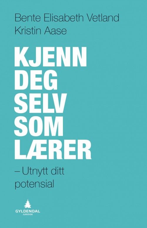 Kjenn deg selv som lærer : utnytt ditt potensial