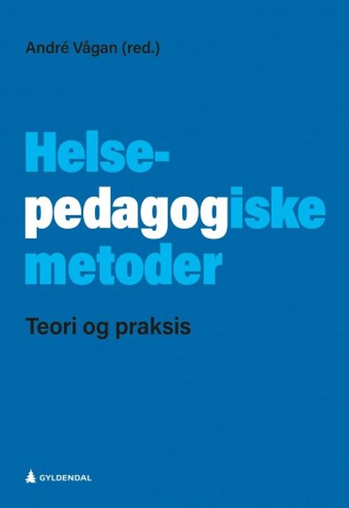 Helsepedagogiske metoder : teori og praksis
