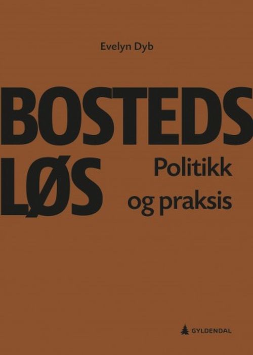 Bostedsløs : politikk og praksis
