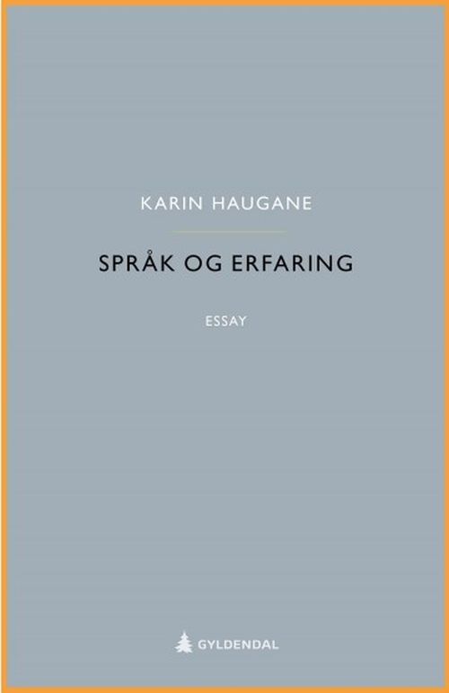 Språk og erfaring : essay
