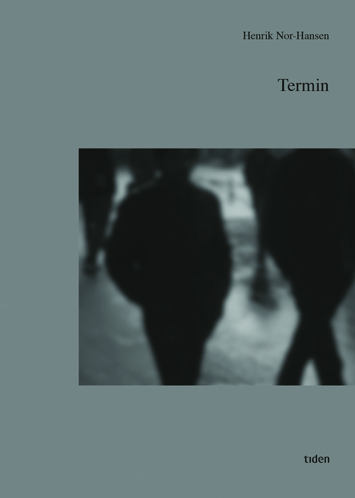 Termin : en framstilling av vold i Norge