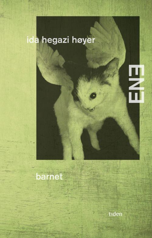 Ene: barnet : roman