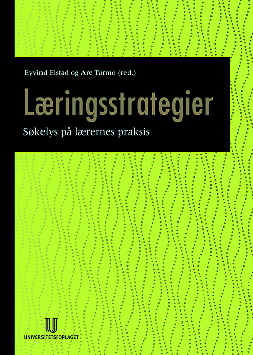 Læringsstrategier : søkelys på lærernes praksis