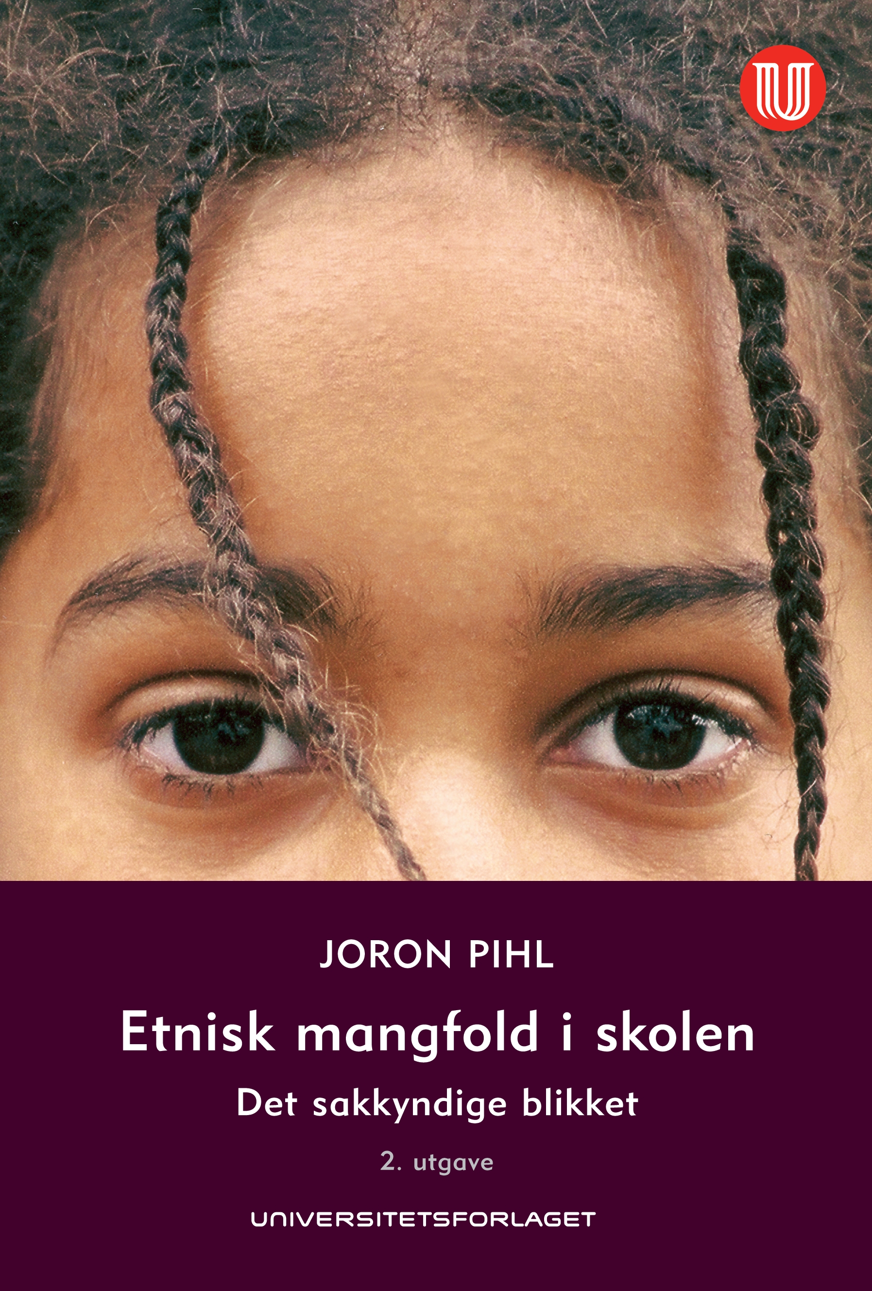 Etnisk mangfold i skolen : det sakkyndige blikket  (2.utg.)