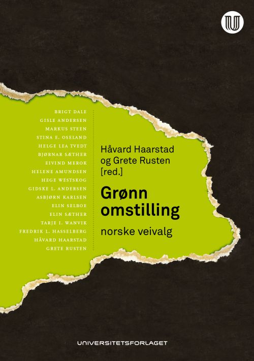 Grønn omstilling : norske veivalg