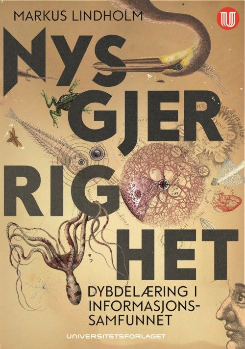 Nysgjerrighet : dybdelæring i informasjonssamfunnet