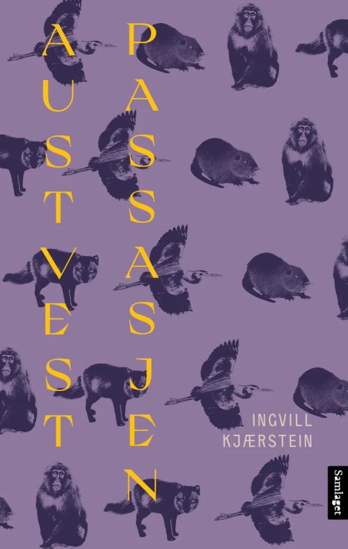 Austvestpassasjen : roman