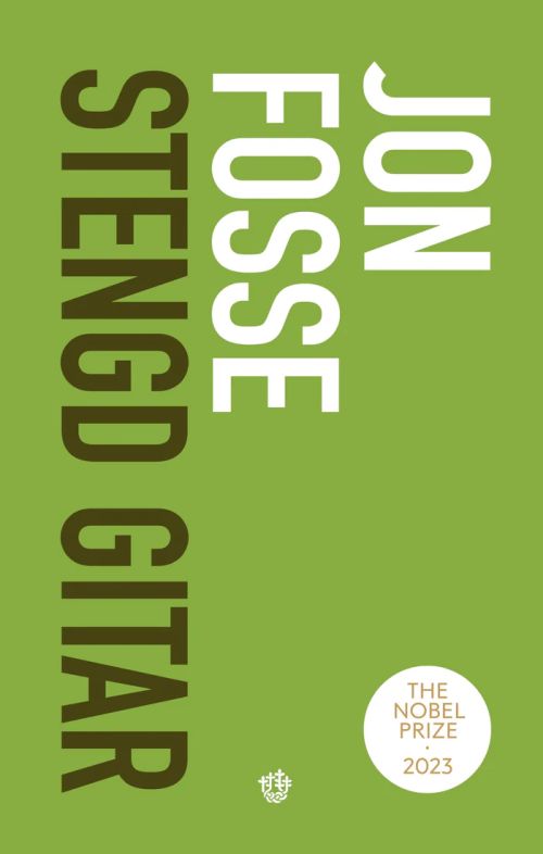 Stengd gitar : roman