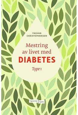 Mestring av livet med diabetes : type 1