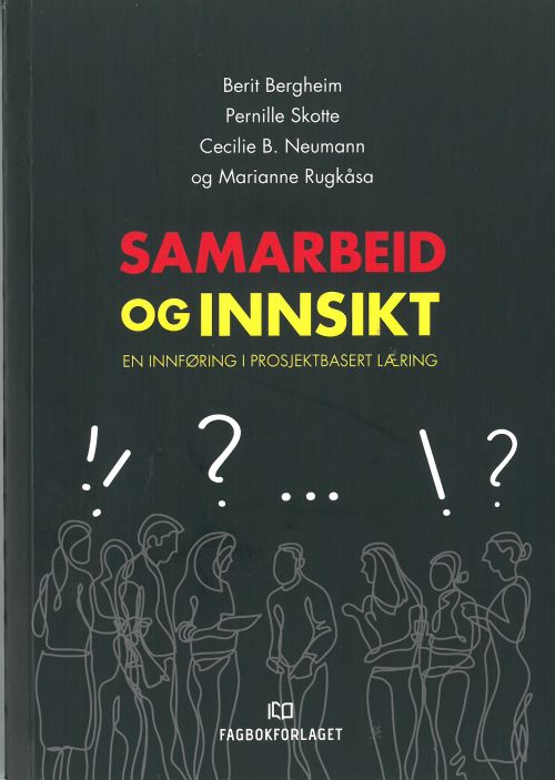 Samarbeid og innsikt : en innføring i prosjektbasert læring