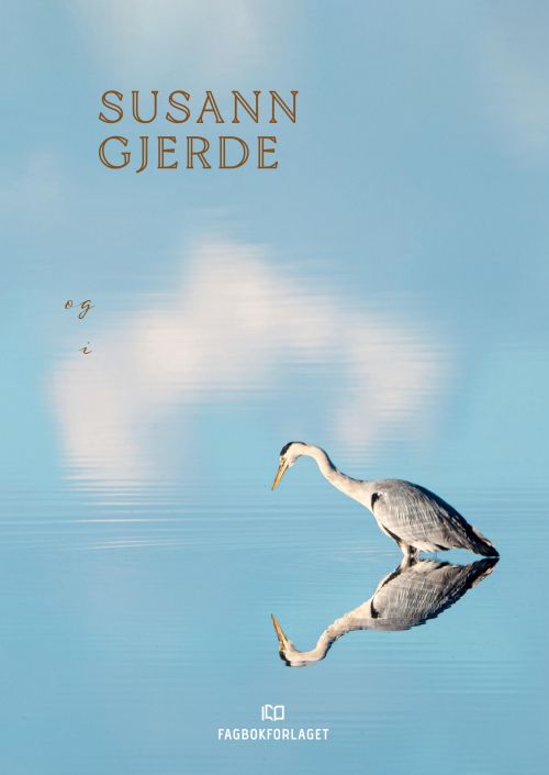 Ledere og ledelse i utvikling : refleksjon for problemløsning, innsikt og nytenkning