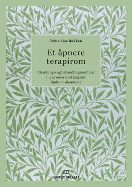 Et åpnere terapirom : utrednings- og behandlingssamtaler til personer med kognitiv funksjonshemming