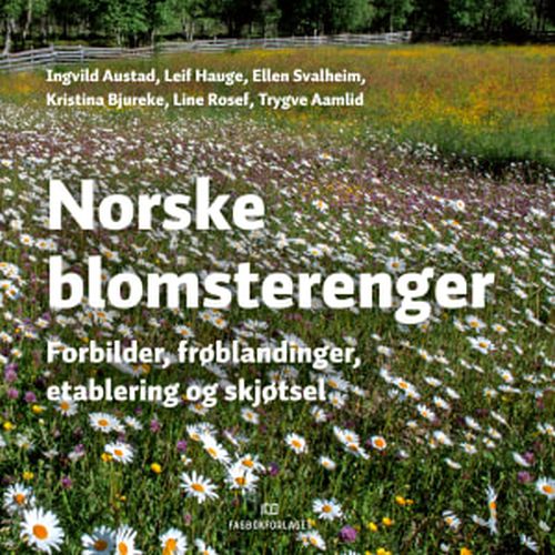 Norske blomsterenger : forbilder, frøblandinger, etablering og skjøtsel