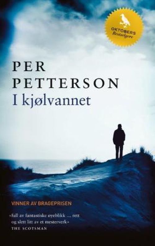 I kjølvannet : roman